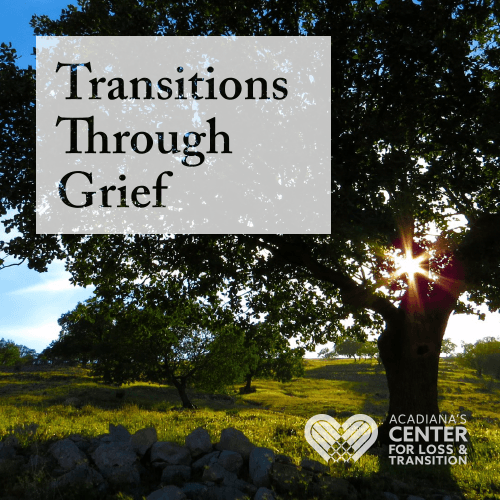 Transitions Through Grief